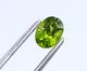 Konvolut 6x Peridot Zus. 11,8ct In Kapsel (665) Preis Reduziert - Ohne Zuordnung