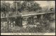 BELGISCH KONGO 1914 (5.5.) 5 C. BiP Palme, Grün: Pont De La Lukula Am Mayumbe-Fluß (provisorische Straßen-Brücke) Ungebr - Brücken