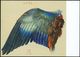 B.R.D. 1971 (30.8.) 20 Pf. Sonder-P "500. Geburtstag A. Dürer": Flügel Der Nebelkrähe (Mi.P 100/03) + Zusatzfrankatur 10 - Autres & Non Classés