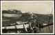 SIERREA LEONE 1936 (30.6.) 1 1/2 D. Reisfeld, EF (1K: FREETOWN) + Schw. Ra: POSTED ON STEAMER (auf Marke übergehend), Üb - Maritime