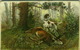 HUNTING - M.&L. 1910s POSTCARD - DOG /  DEER (BG1036) - Hunting