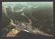 Stavelot - Spa - Francorchamps - Circuit F1 - Vue Aérienne / Aerial View - Stavelot