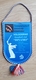 Pennant Handball Club Dinamo Volgograd Russia 11x15cm - Palla A Mano