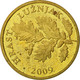 Monnaie, Croatie, 5 Lipa, 2009, TTB, Brass Plated Steel, KM:5 - Kroatië