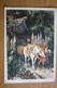 Kochergin FAIRY TALE "Baba Yaga"-  Champignon - OLD Postcard - MUSHROOM 1956 - Champignons