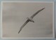 New Zealand - GPT - A M Kilpatrick * Signed Folder * - Royal Albatross $5 - NZ-D-18 - Limited Ed 3500ex - Mint In Folder - New Zealand