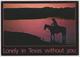 Lonely In Texas Without You -    The Texas Postcard Company N° T-242 - 1995 - Autres & Non Classés