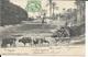 EGYPTE  LA FERME EGYPTIENNE   ECRITE 1903 - Persons