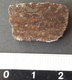 - MÉTÉORITE - NORTH WEST AFRICA - 2.62 G - Meteoriten