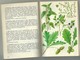 Heilkraft Der Natur Eugen Fischer Ed 1981 Hallwag Bern Santé Par Les  Plantes Nombreuses Planches Illustrées - Santé & Médecine