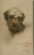 TUCK'S 1910s POSTCARD SIGNED BY MAUD WEST WATSON - DANDIE DINMONT TERRIER - SERIES SKETCHES OF DOGGIES N.9681 (BG1146) - Tuck, Raphael