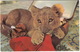 LION: 'Lyons Tours Are Fun!' - LION CUB , Suitcase - (Dennis Postcard) - Leeuwen