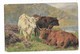 Illustration De  3  Belles  Vaches  Et  Montagnes - Cows