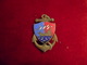 INSIGNE COLONIAL BOURBON  FAB DP - Armée De Terre