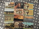 LOT  DE 59 CARTES POSTALES  DE CHEVAUX - 5 - 99 Cartes