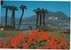 Lugano, Switzerland, Lungolago, Monte Bre, Used Postcard [22115] - Lugano