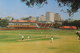 Playing Cricket In Adelaida - Cricket