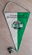 Pennant STFV Steirischer Styrian Football Federation Austria 15x25cm - Uniformes Recordatorios & Misc