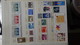 Delcampe - Grosse Collection ISRAEL En Timbres Avec Tabs, Blocs, Carnets **. Belle Côte !!! - Collections (with Albums)