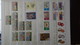 Delcampe - Grosse Collection ISRAEL En Timbres Avec Tabs, Blocs, Carnets **. Belle Côte !!! - Collections (with Albums)