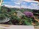 SUD AFRICA JOHANNESBURG SKYLINE STAMP SELO TIMBRE 0,25 C FLOWERS City Hall 10 C GX5584 - Sud Africa