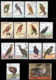 Lot Oiseaux - 120 Timbres(o) - Eagles & Birds Of Prey