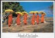 SRI LANKA - MONACI BUDDISTI - FORMATO GRANDE 17X13 - VIAGGIATA 2001 FRANCOBOLLO ASPORTATO - Boeddhisme