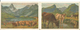 Franz Elmiger, Schafe Am Glattalpsee, Vaches Et Moutons à L'alpage (2x 803) 10x15 - Peintures & Tableaux