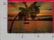 CARTOLINA VG SEYCHELLES - Tramonto A PRASLIN - 10 X 15 - ANN. 1980 VICTORIA - Seychelles