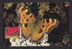 Netherlands: Maximum Card, 1993, 1 Stamp, Endangered Butterfly, Insect, Animal (traces Of Use) - Briefe U. Dokumente