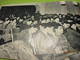 Delcampe - Guerre D'Algérie/ Fascicule " ALGERIE 1961"/ L’après Référendum D'autodétermination Du 8 Janvier 61/ 1961  VPN165 - Dokumente