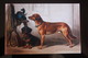 Dachshund - Teckel - Dackel - Bassotto - Painter Carl Reichert - Dog Collection - Modern Russian Edition - Dogs