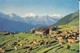 SUISSE---RIEDERALP--fletschhorn, Mischabel--( Troupeau De Vaches )---voir 2 Scans - Riederalp