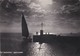 CARTOLINA - POSTCARD - RIMINI - RICCIONE - NOTTURNO - Rimini