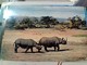 RINOCERONTE RHINOCEROS  STAMP TIMBRE SELO KENIA UGANDA TANZANIA  30 C Shell 1 OAU SUMMIT KAMPALA GX5745 - Rhinocéros