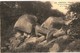 Delcampe - LOT N°538 - LOT DE + 120 CARTES LE HUELGOAT - LES CASCADES LES CHAOS LES GROTTES LE LAC ... ET ENVIRONS - Huelgoat