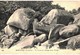 Delcampe - LOT N°538 - LOT DE + 120 CARTES LE HUELGOAT - LES CASCADES LES CHAOS LES GROTTES LE LAC ... ET ENVIRONS - Huelgoat