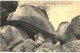 Delcampe - LOT N°538 - LOT DE + 120 CARTES LE HUELGOAT - LES CASCADES LES CHAOS LES GROTTES LE LAC ... ET ENVIRONS - Huelgoat