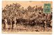 E11 - Lebanon 1909 Beutiful Ottoman Postcard, Fig Gathering, By Sarrafian Bros, Sent From Beirut, To Houston, Texas - Libano