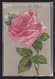 General Greetings - Think Of Me Rose - Used - Greetings From...