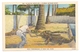 US Alligator Wrestling Musa Isle Miami Seminole Native Americans Florida FL Linen Postcard - Indiani Dell'America Del Nord