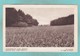 Old Post Card Of Gutswirtschaft Maggi,Kempttal,R67. - Other & Unclassified