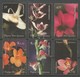 2002 Papua New Guinea Orchids Set, Minisheet And Souvenir Sheet (** / MNH / UMM) - Orchideen