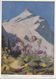 Erich Stegmann, Kuchenschelle, Unused Postcard [22249] - Paintings