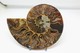 968 - Fossile Di Ammonite - Metà Di Fossile Di Conchiglia - Provenienza Madagascar Peso 106 Gr - Fossiles