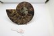 968 - Fossile Di Ammonite - Metà Di Fossile Di Conchiglia - Provenienza Madagascar Peso 106 Gr - Fossiles