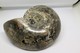 Delcampe - 996 - Fossile Di Ammonite - Metà Di Fossile Di Conchiglia - Provenienza Madagascar Peso 371 Gr - Fossili
