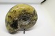 Delcampe - 992 - Raro Fossile Di Ammonite Di Conchiglia - Provenienza Madagascar Peso 230 Gr - Fossiles