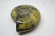 Delcampe - 992 - Raro Fossile Di Ammonite Di Conchiglia - Provenienza Madagascar Peso 230 Gr - Fossili