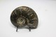 860 - Raro Fossile Di Ammonite Iridescente Naturale - Provenienza Madagascar Peso 77 Gr - Fósiles